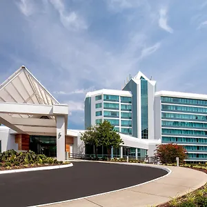 - Hampton By Ihg Hotel